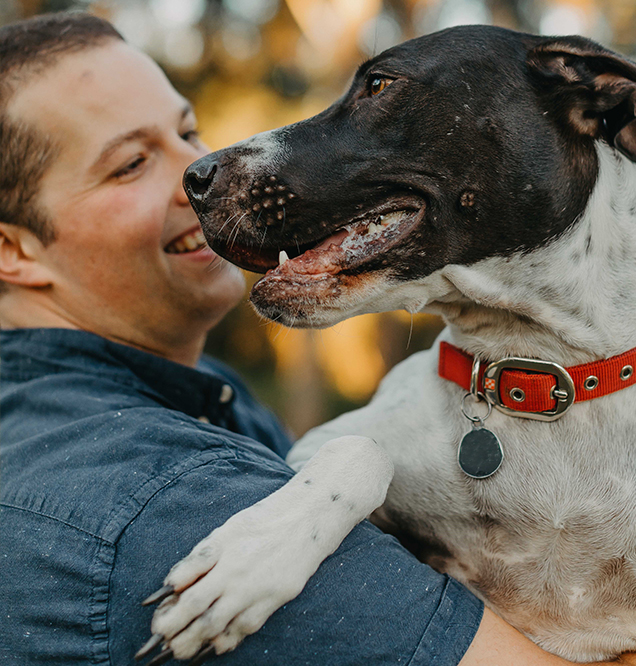 happy story for bull arab adopted at rspca pop up adoption